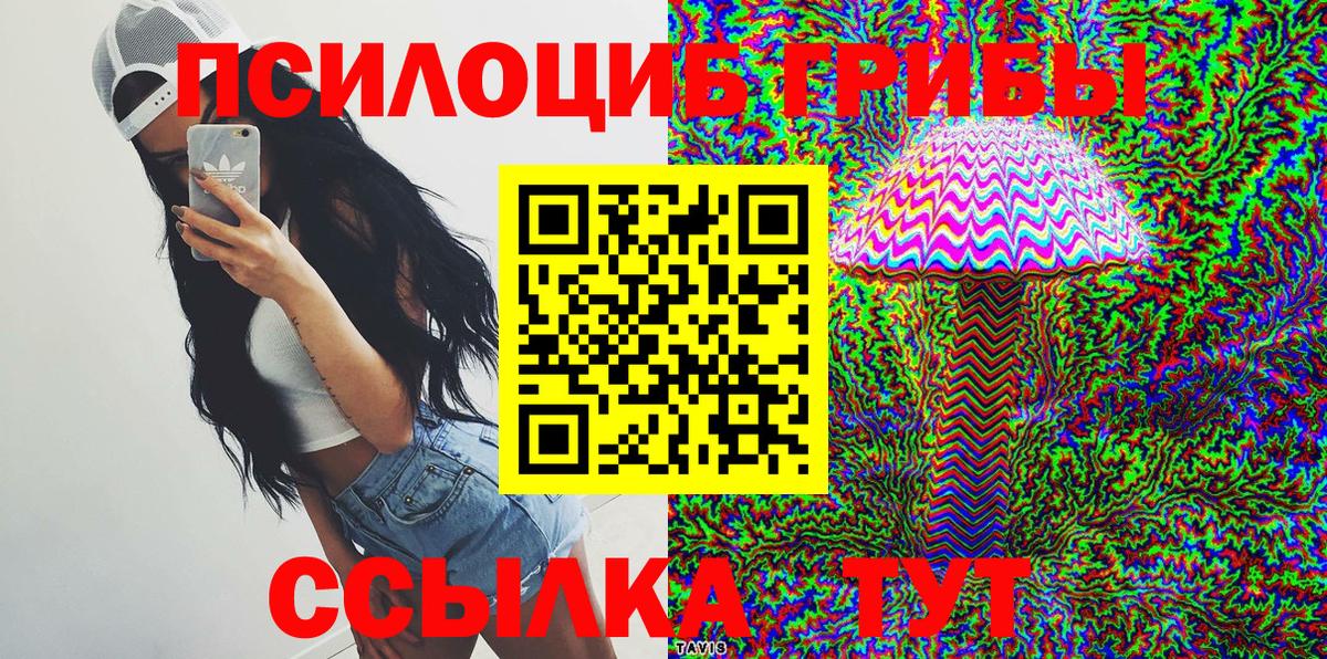 Галлюциногенные грибы Psilocybine cubensis Ишим